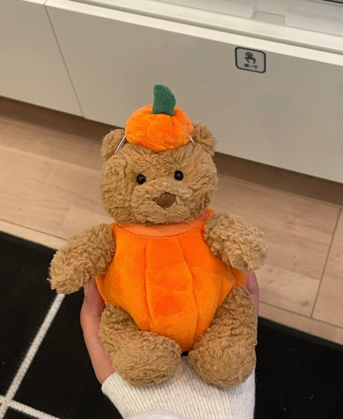 Bartholomeow Bear Pumpkin Outfit