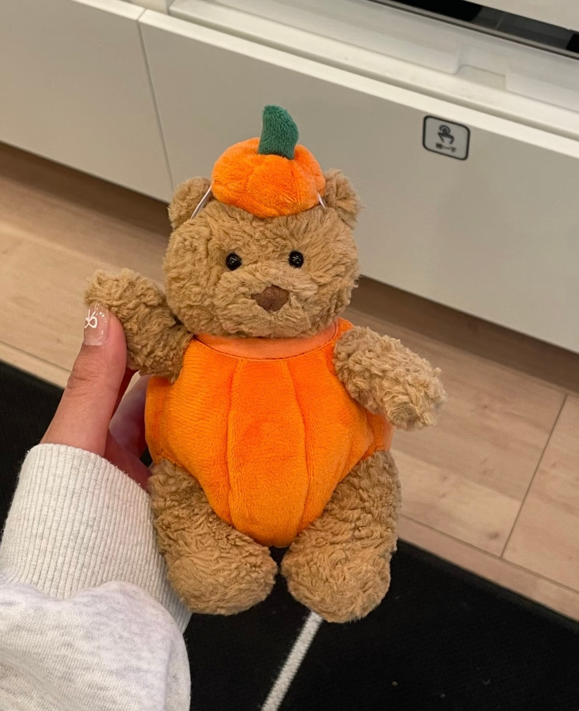 Bartholomeow Bear Pumpkin Outfit