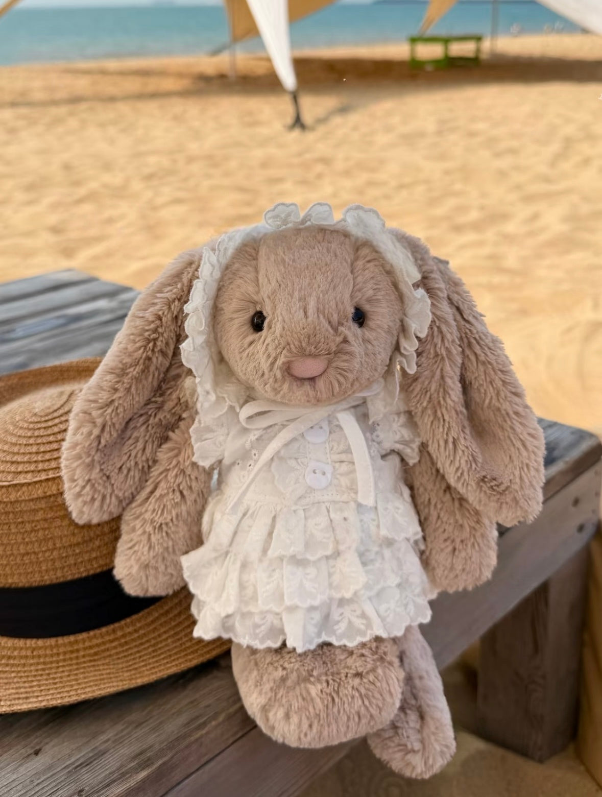 Bashful Bunny Lace Ruffle Outfit