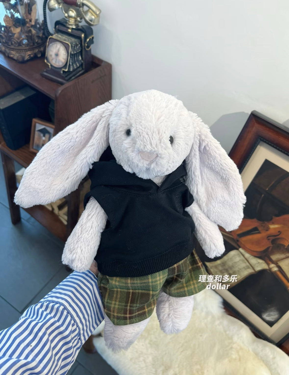 Bashful Bunny Hoodies Outfit