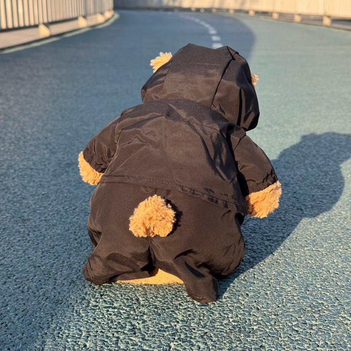 Bartholomew Bear North Face Raincoat Set