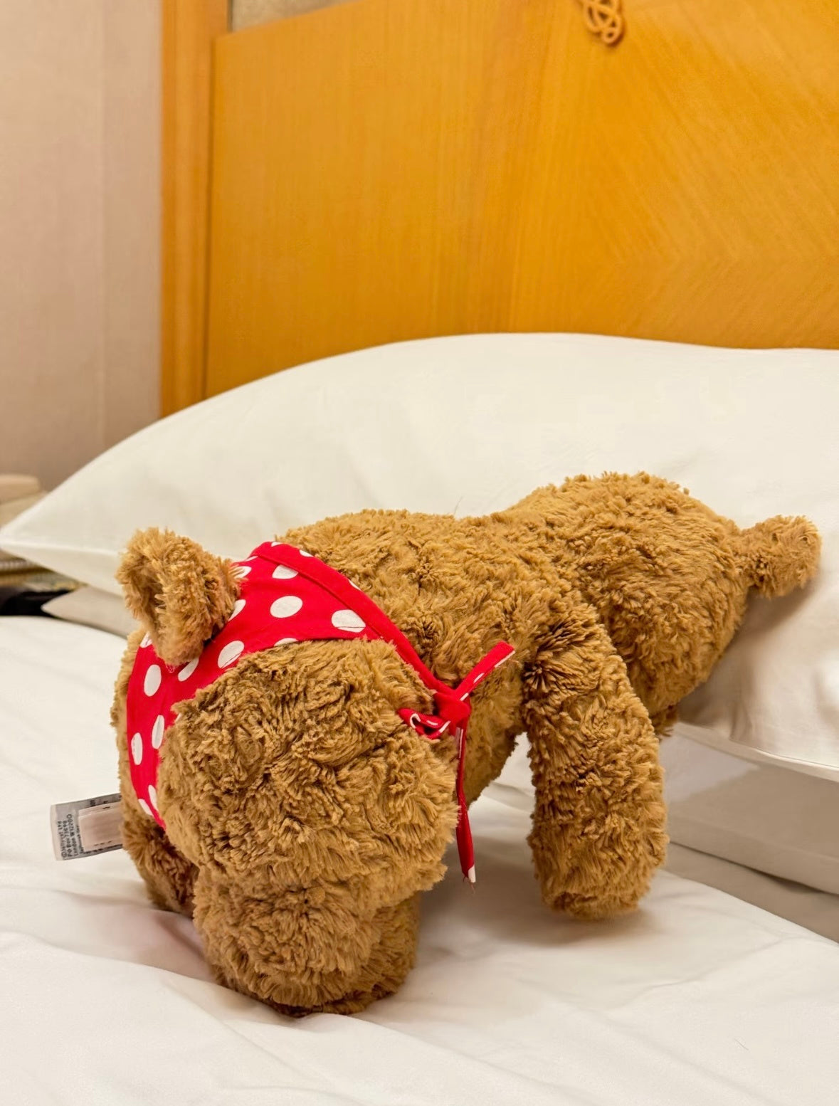 Bartholomew Bear Strawberry Bikini Set
