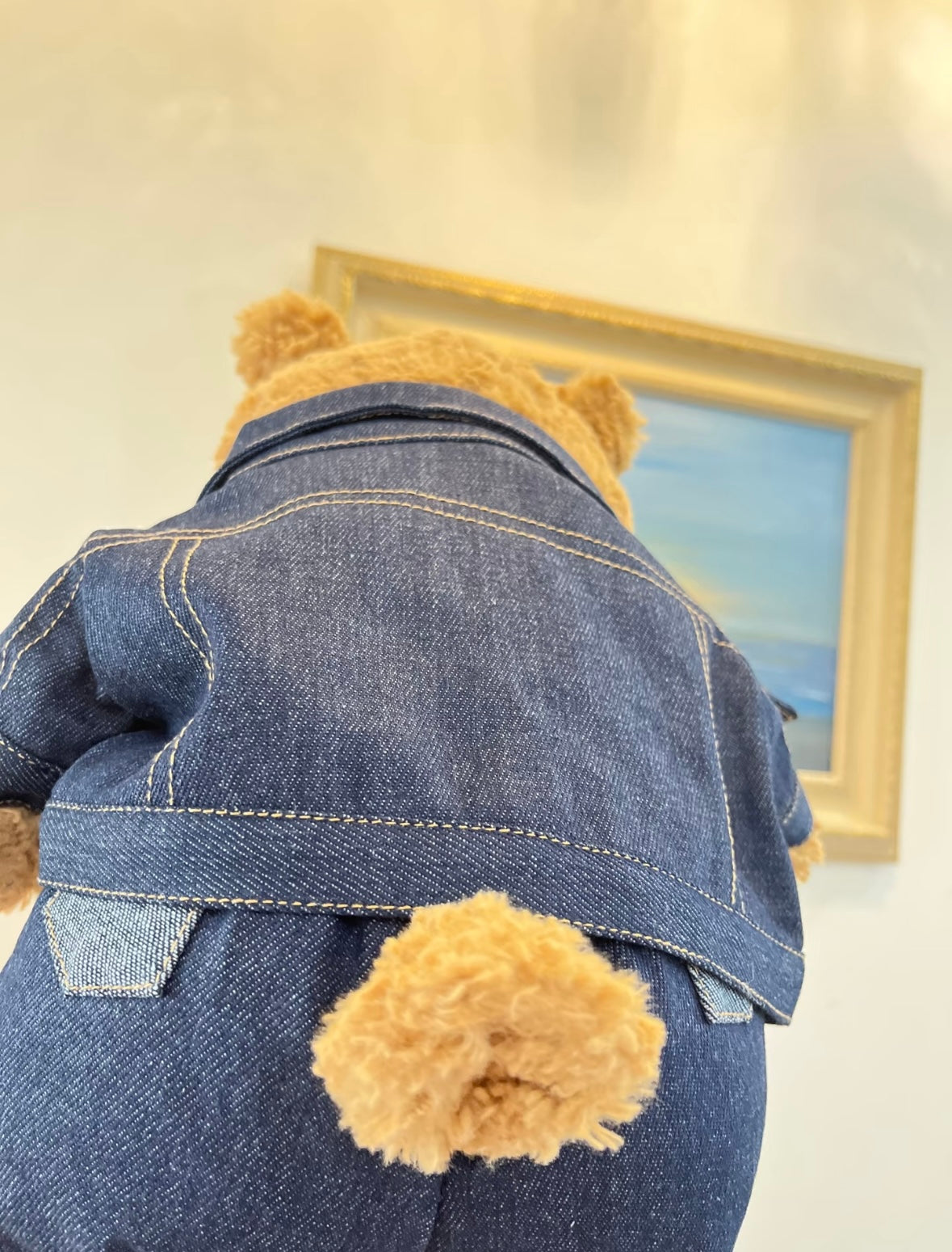 Bartholomew Bear Denim Jacket, Jeans & White Tee Set