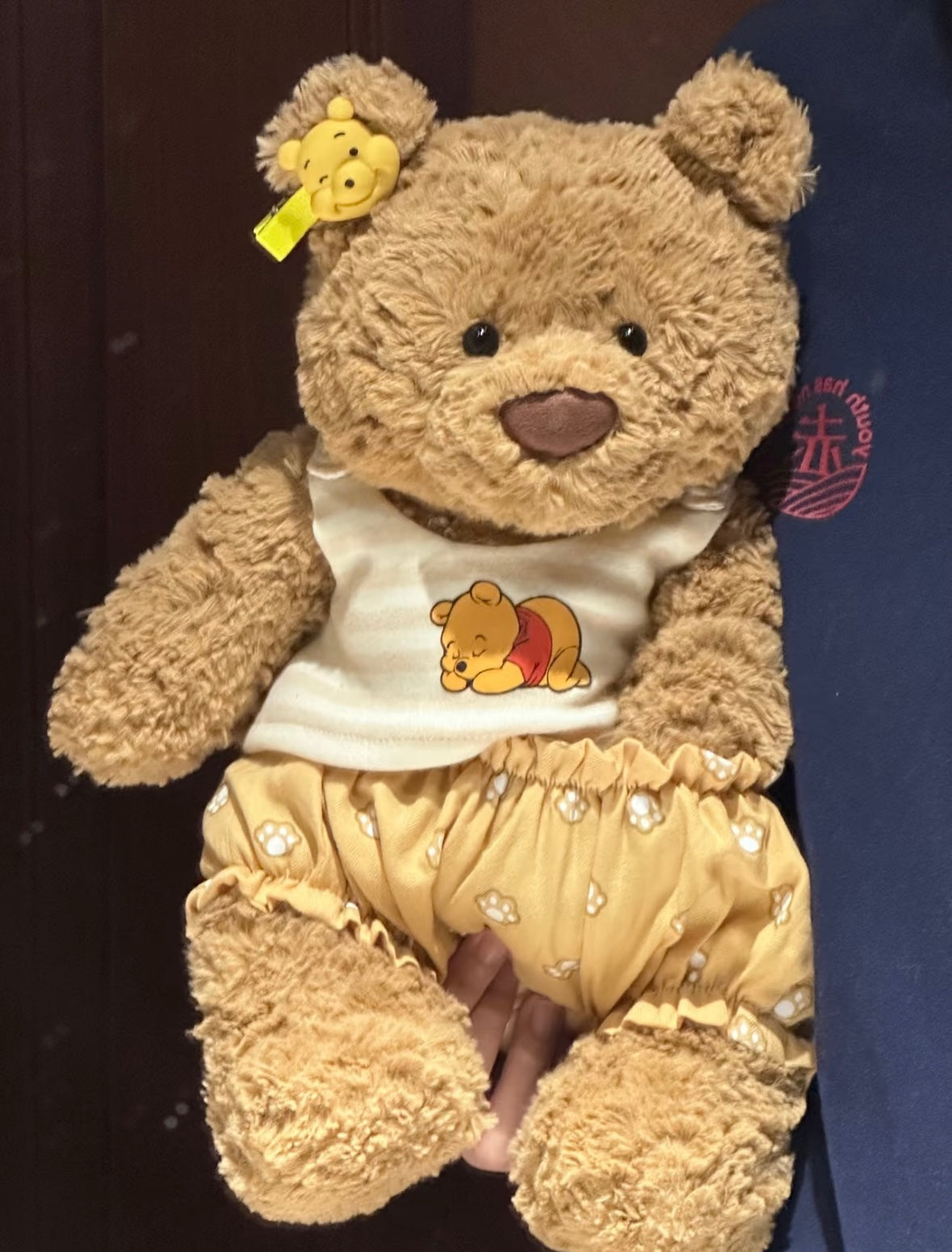 Bartholomew Bear Winnie the Pooh Outfit Set - seated front view