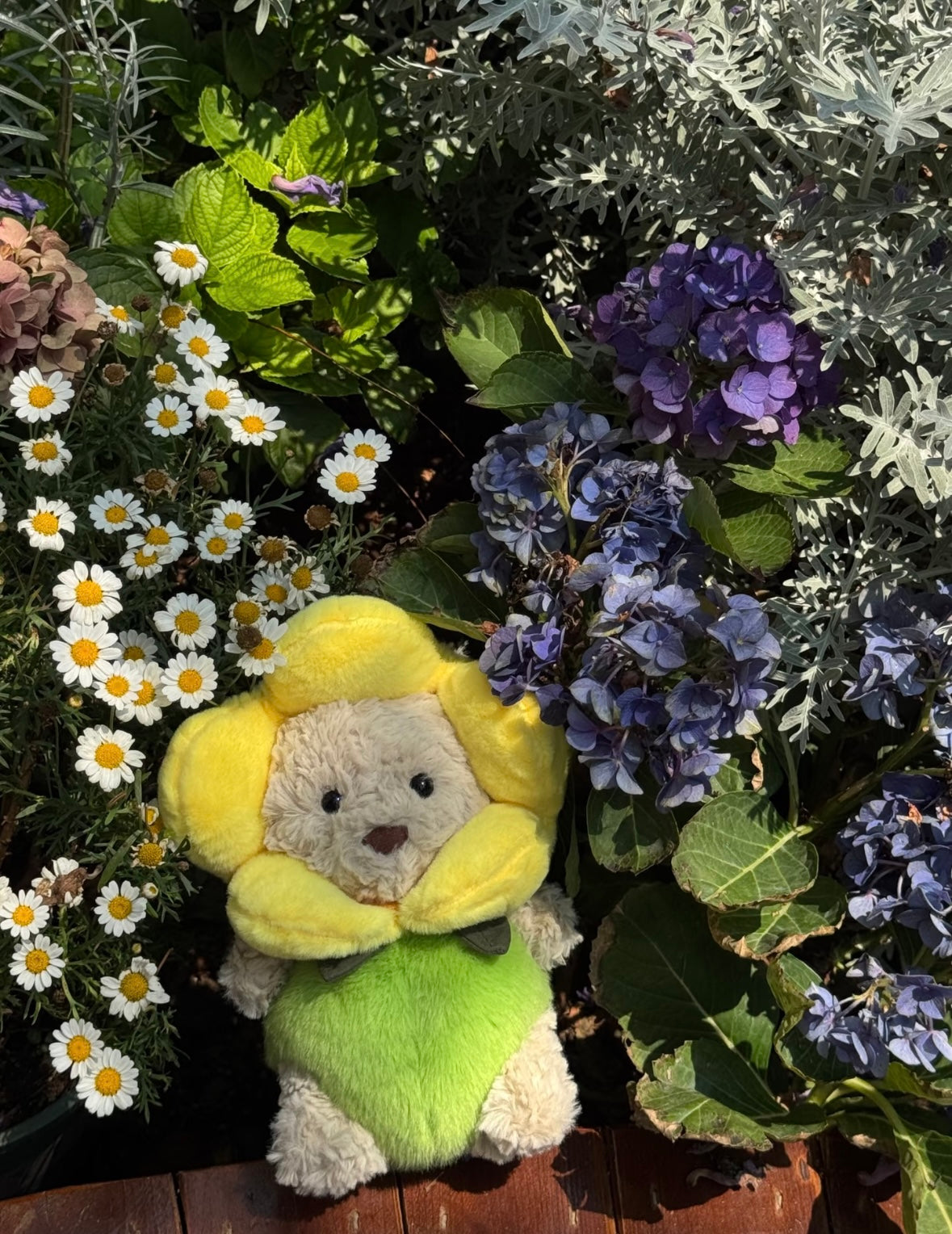Close-up of plush bear wearing yellow sunflower petal hood and green body suit